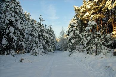 Xbox玩家拥有游戏云游戏支持现已上线 仍需XGP终极版